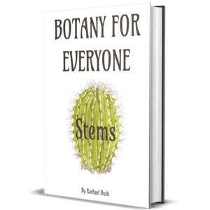 Botany for Everyone: Stems