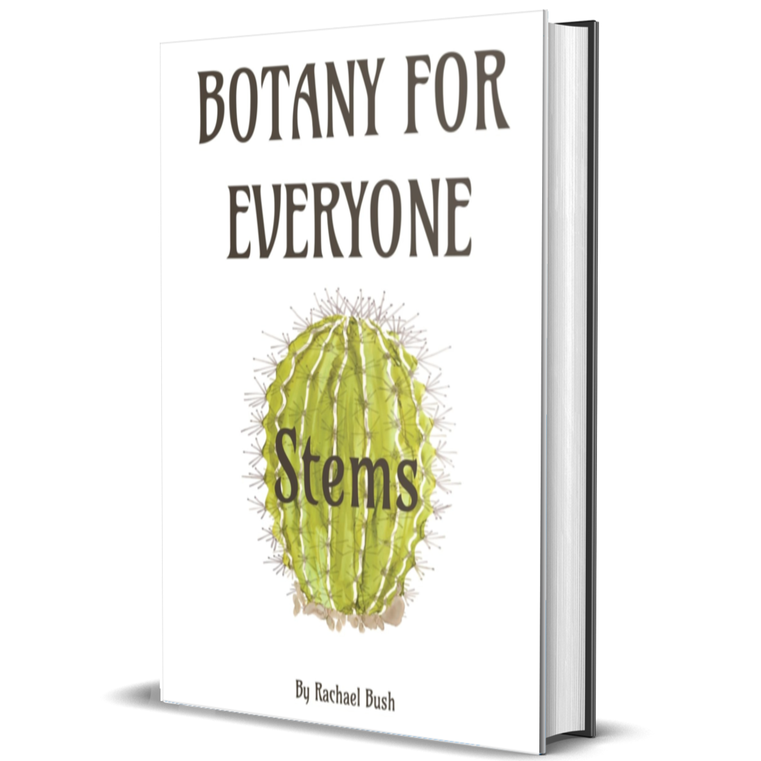 Botany for Everyone: Stems
