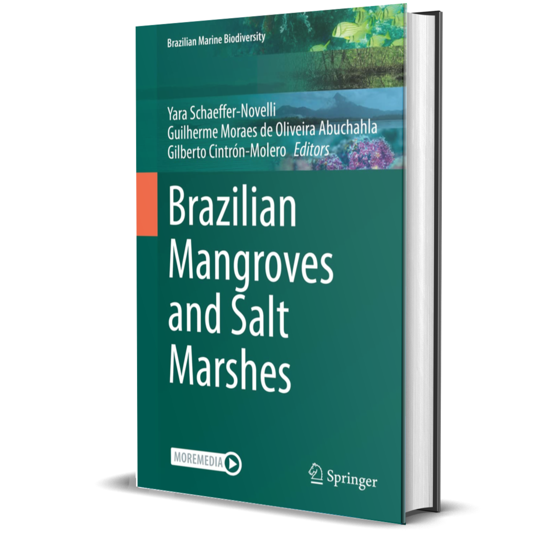 Brazilian Mangroves and Salt Marshes (Brazilian Marine Biodiversity)