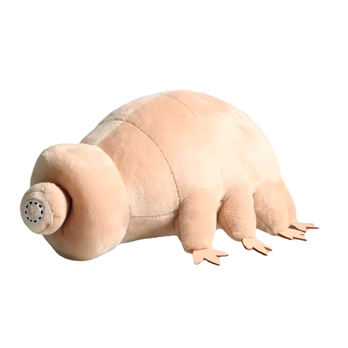 Brinquedo de Pelúcia Tardígrado 25 cm (+3)