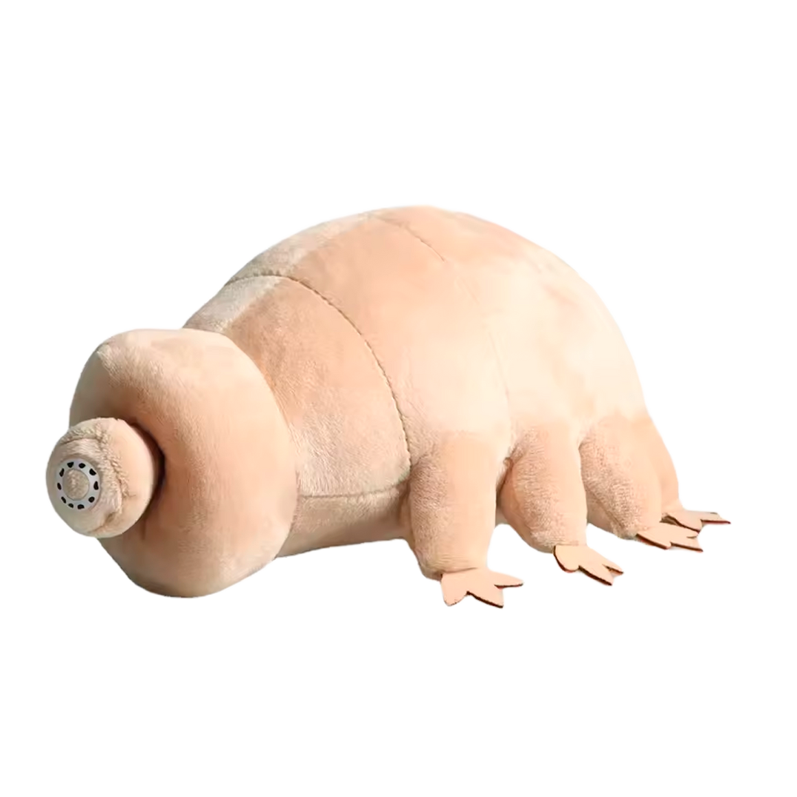 Brinquedo de Pelúcia Tardígrado 25 cm (+3)
