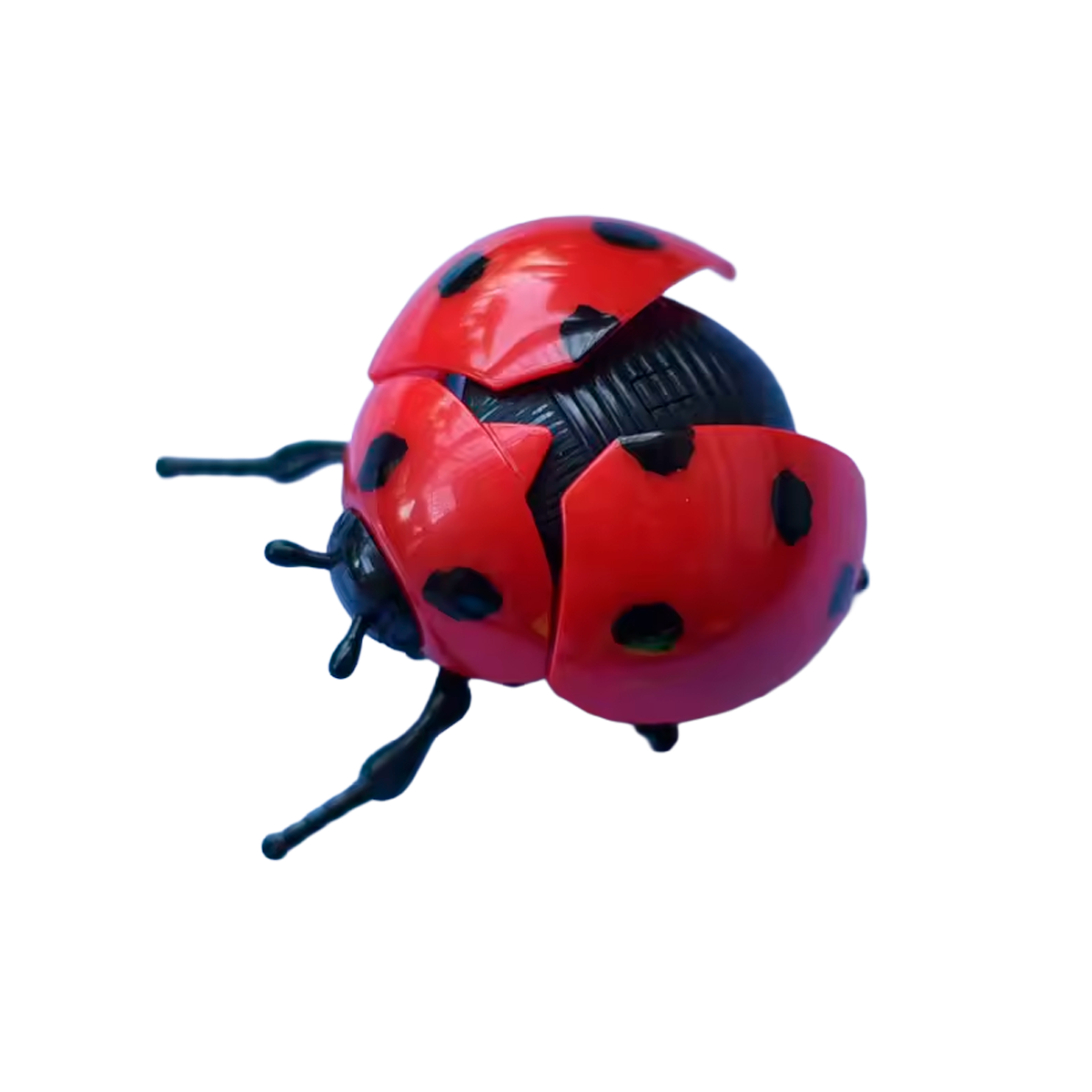 Brinquedo de Simulação de Joaninha de Corda (+3)