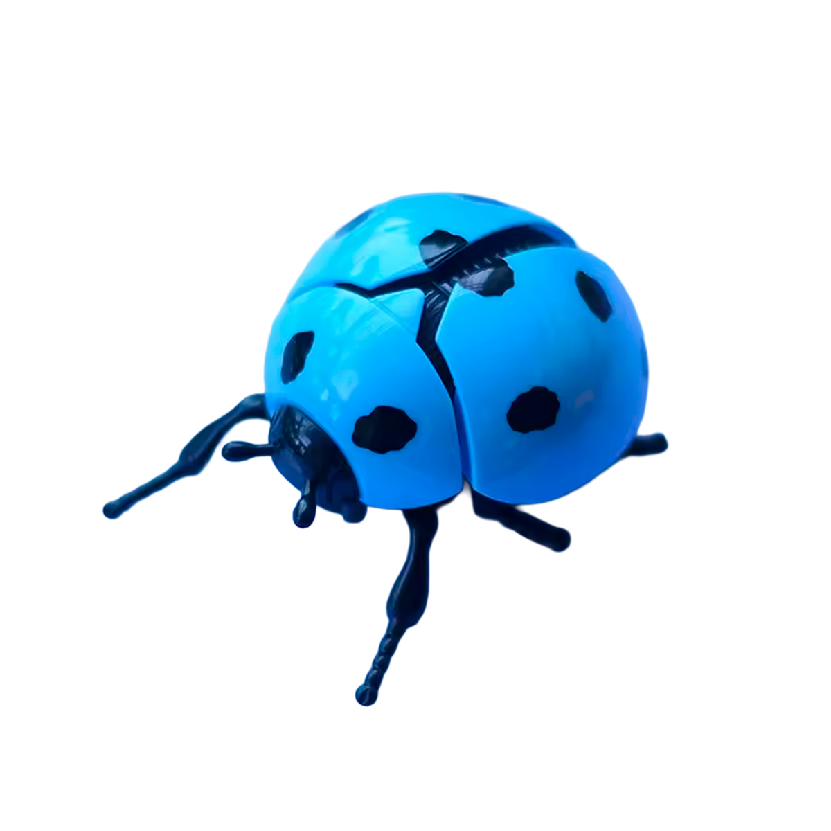 Brinquedo de Simulação de Joaninha de Corda (+3)