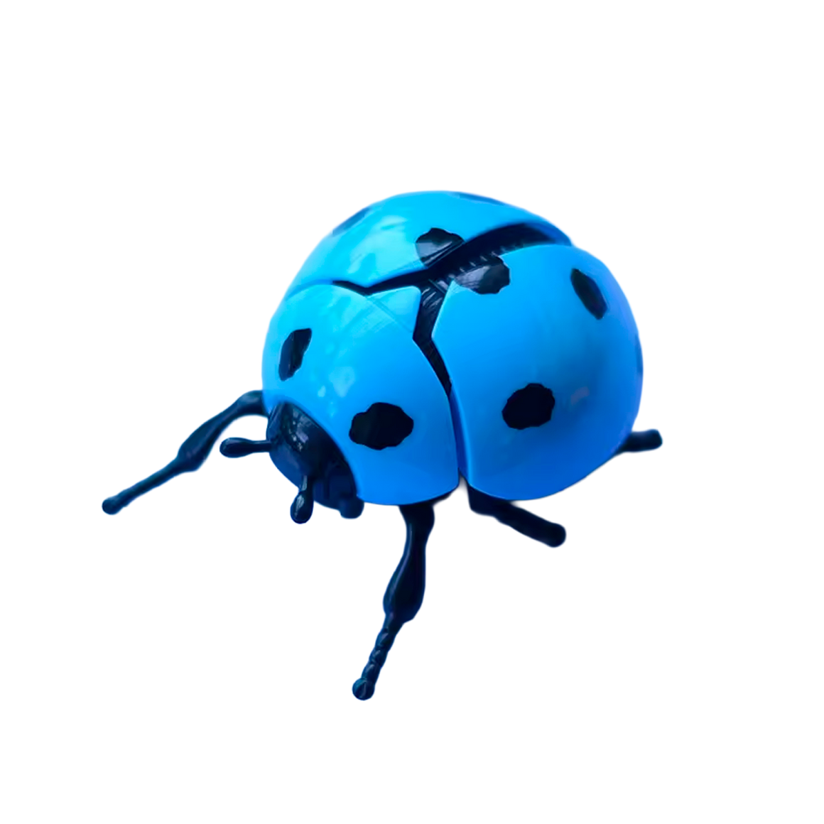 Brinquedo de Simulação de Joaninha de Corda (+3)