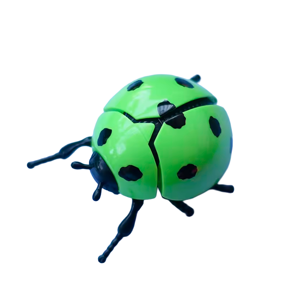 Brinquedo de Simulação de Joaninha de Corda (+3)