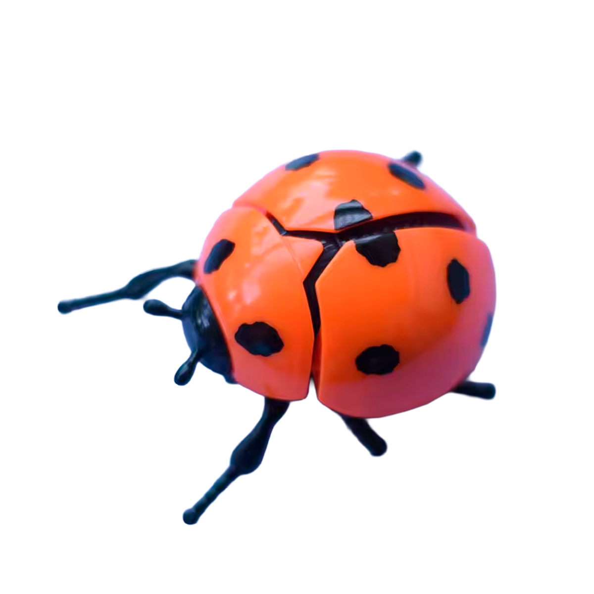 Brinquedo de Simulação de Joaninha de Corda (+3)