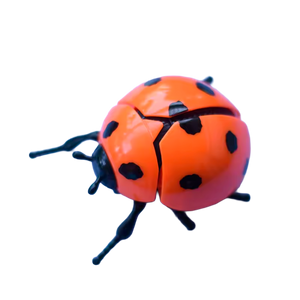 Brinquedo de Simulação de Joaninha de Corda (+3)