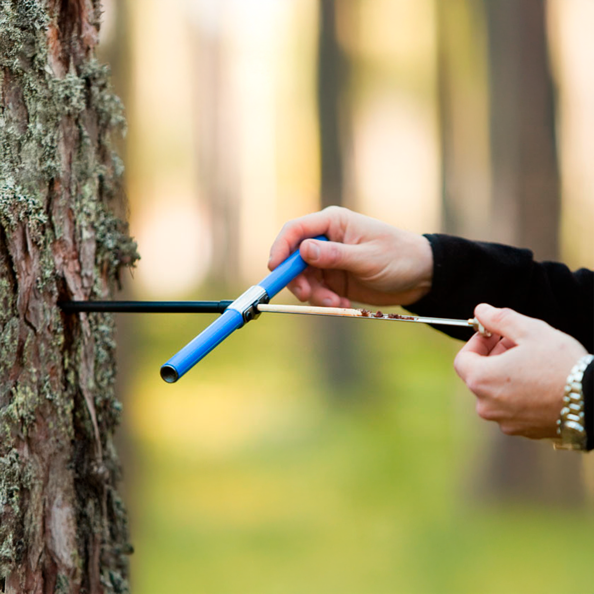 Broca de Reposição Haglöf para Trados de Incremento