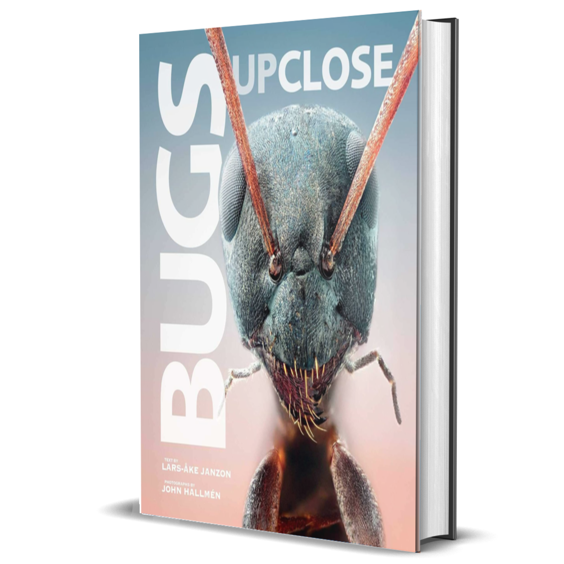 Bugs Up Close: A Magnified Look at the Incredible World of Insects