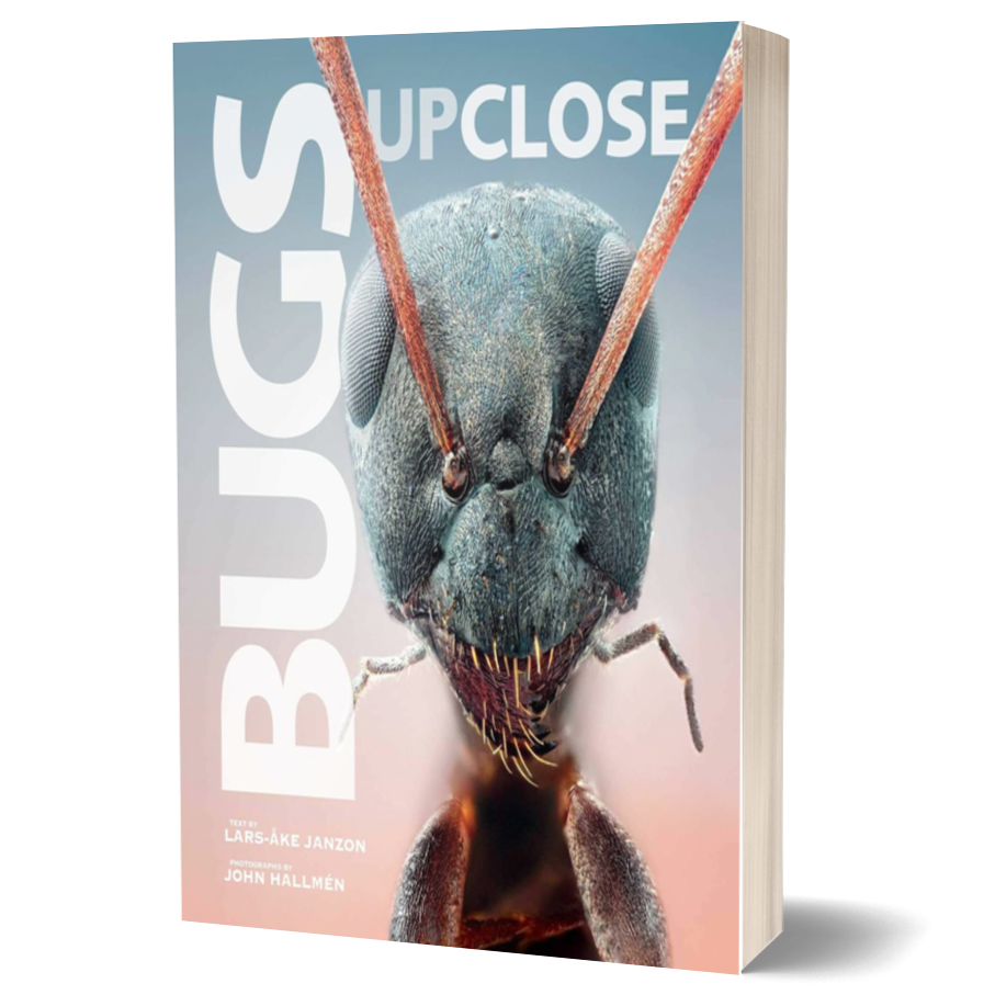 Bugs Up Close: A Magnified Look at the Incredible World of Insects