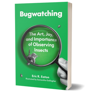 Bugwatching: The Art, Joy, and Importance of Observing Insects