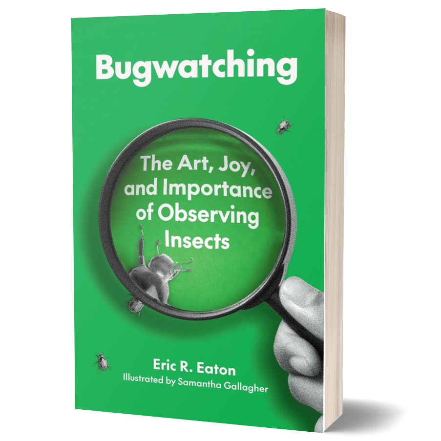 Bugwatching: The Art, Joy, and Importance of Observing Insects