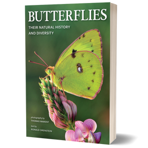Butterflies: Their Natural History and Diversity