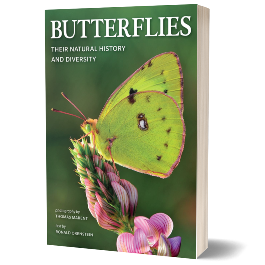 Butterflies: Their Natural History and Diversity