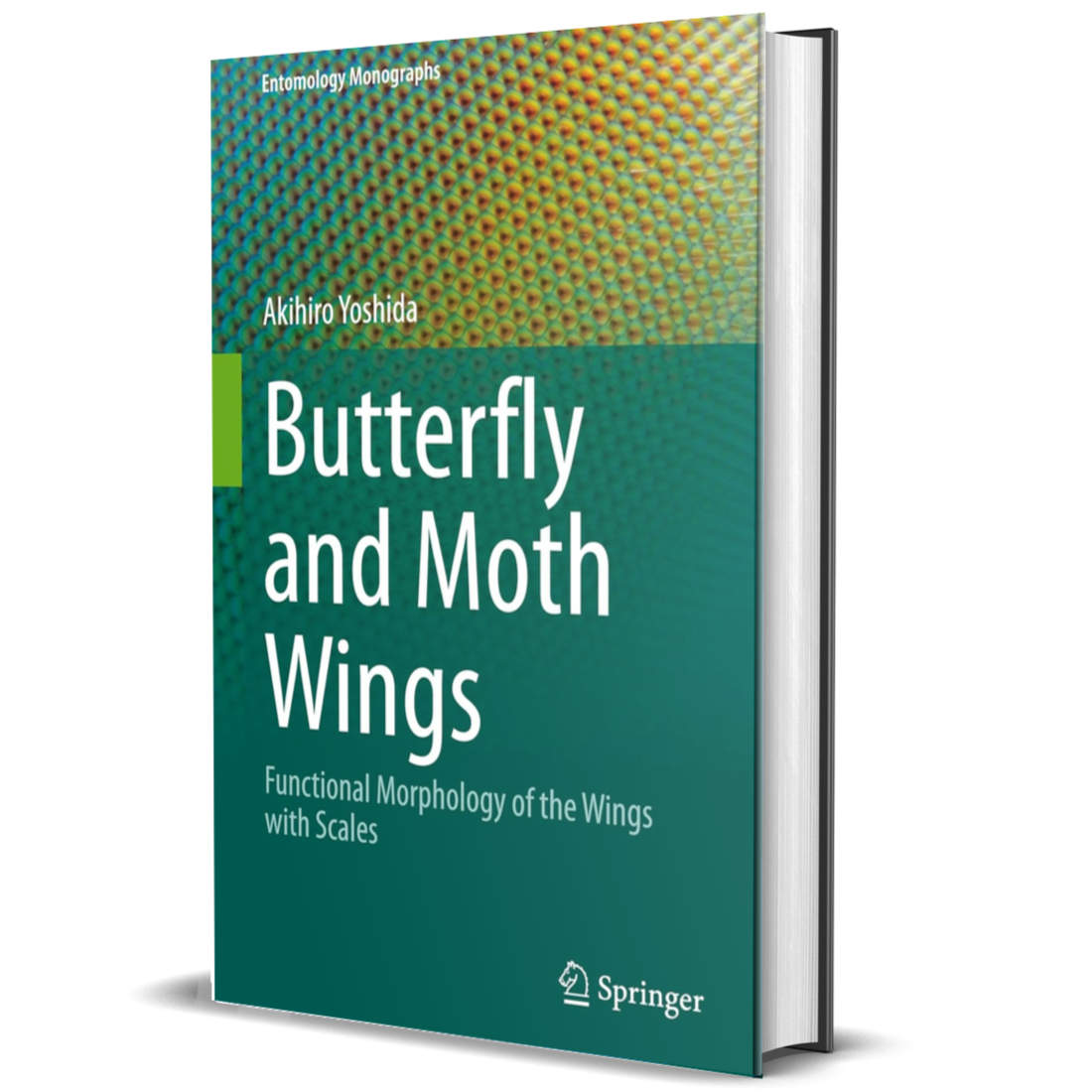 Butterfly and Moth Wings: Functional Morphology of the Wings with Scales (Entomology Monographs)