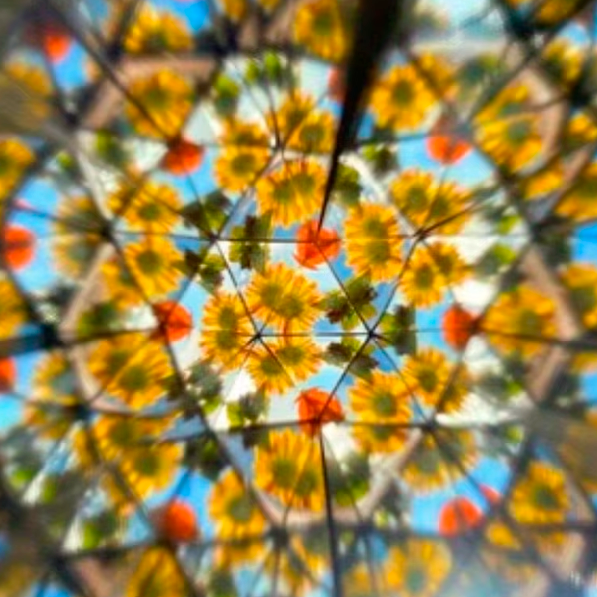 Caleidoscópio de Madeira DIY (+3)