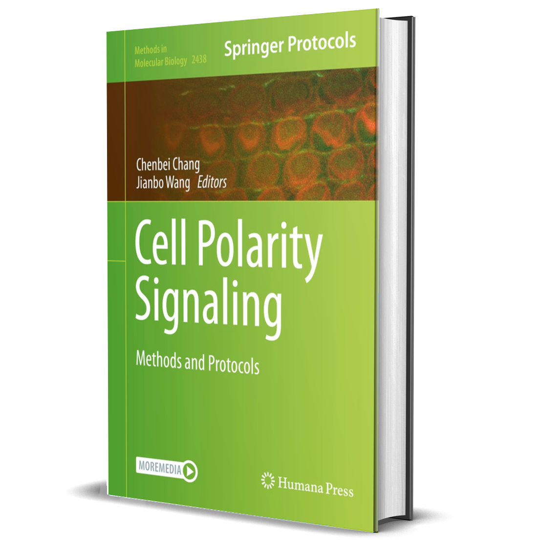 Cell Polarity Signaling: Methods and Protocols (Methods in Molecular Biology Book 2438)