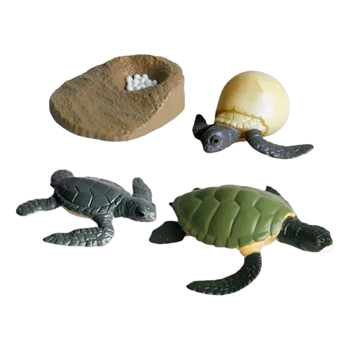 Ciclo de Vida Montessori: Figuras de Animais e Plantas para Crianças (+3)