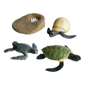 Ciclo de Vida Montessori: Figuras de Animais e Plantas para Crianças (+3)