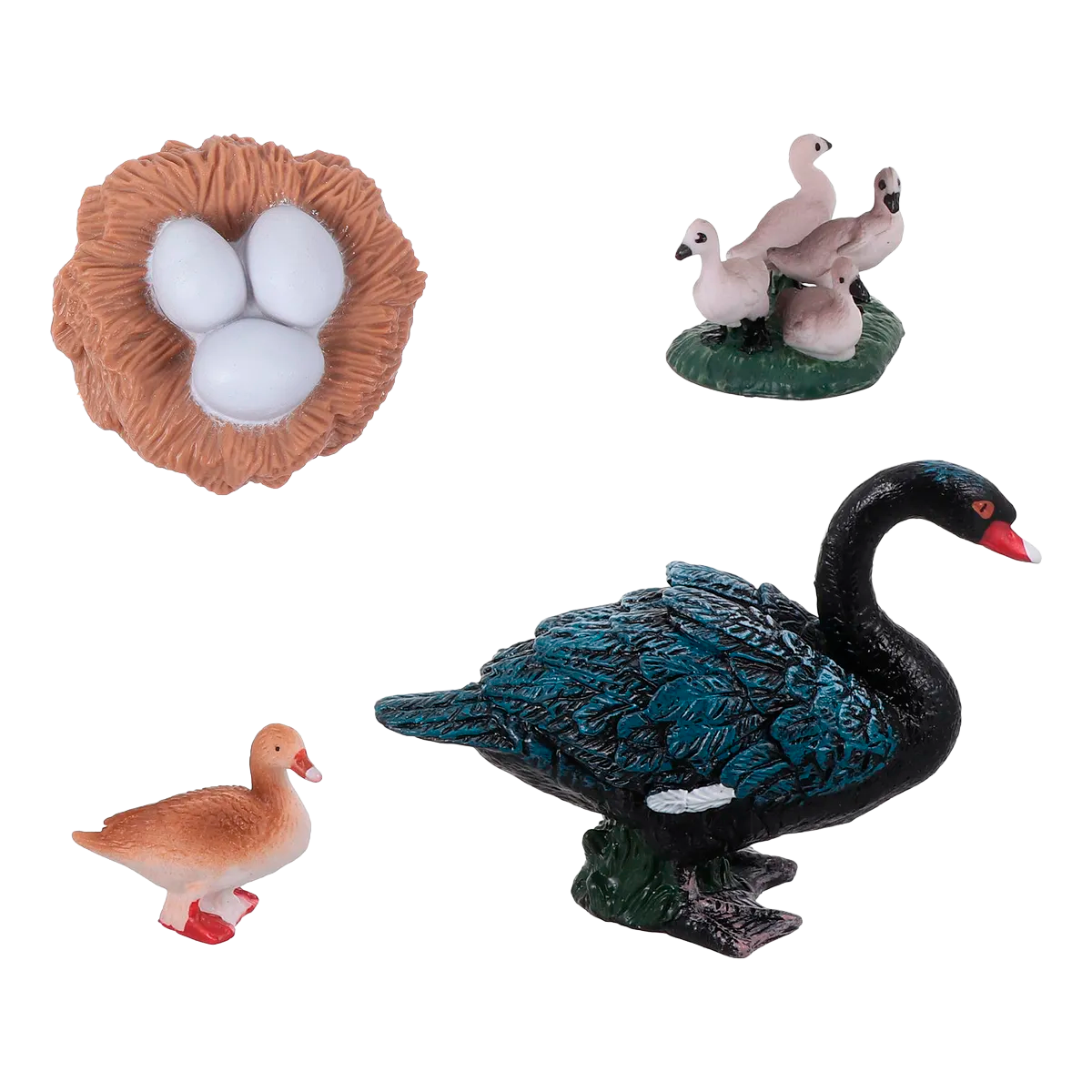 Ciclo de Vida Montessori: Figuras de Animais e Plantas para Crianças (+3)