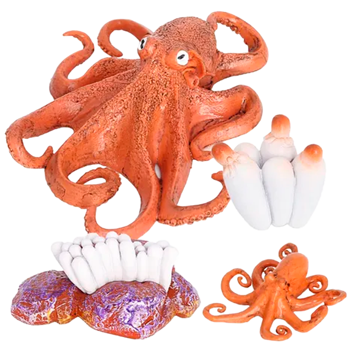 Ciclo de Vida Montessori: Figuras de Animais e Plantas para Crianças (+3)