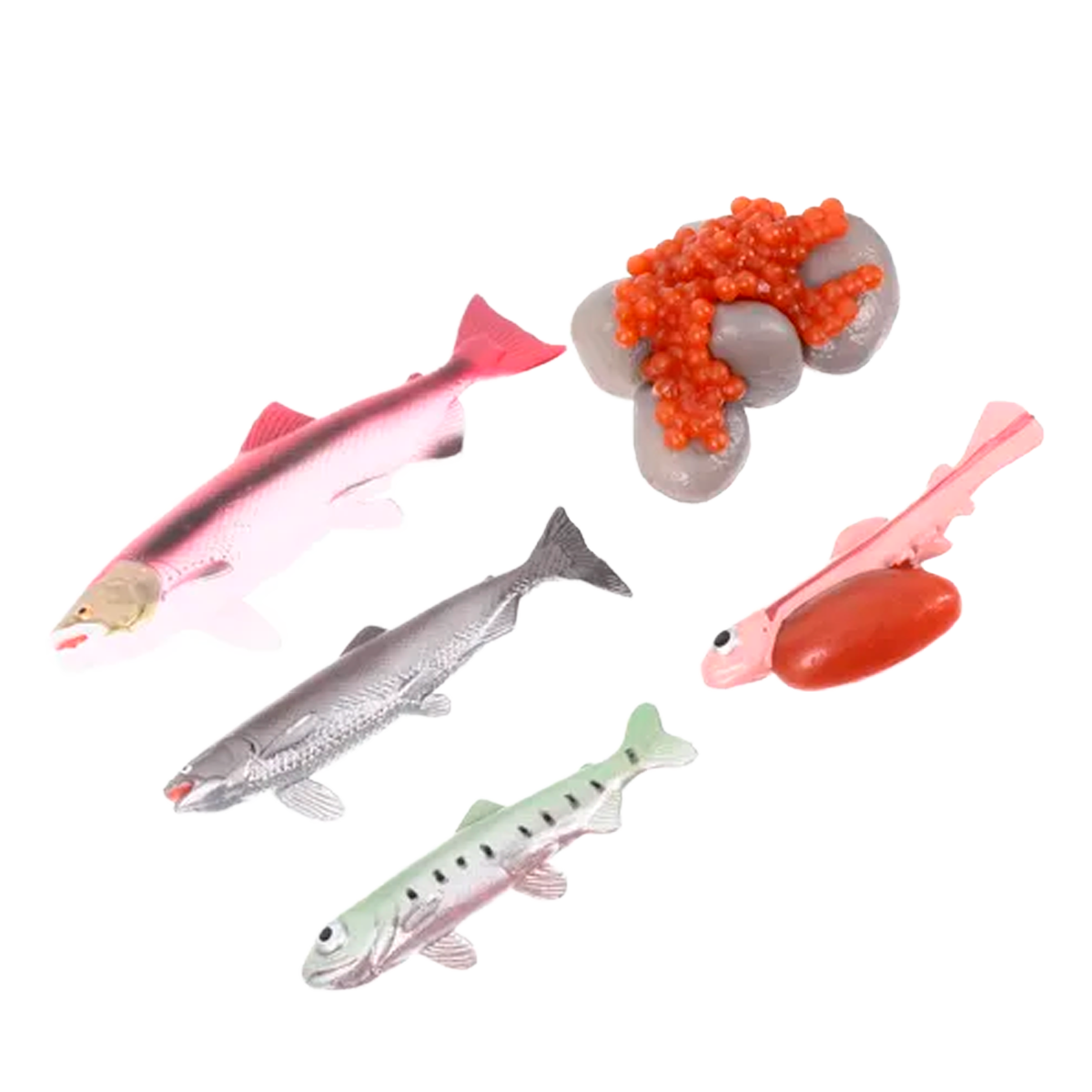 Ciclo de Vida Montessori: Figuras de Animais e Plantas para Crianças (+3)