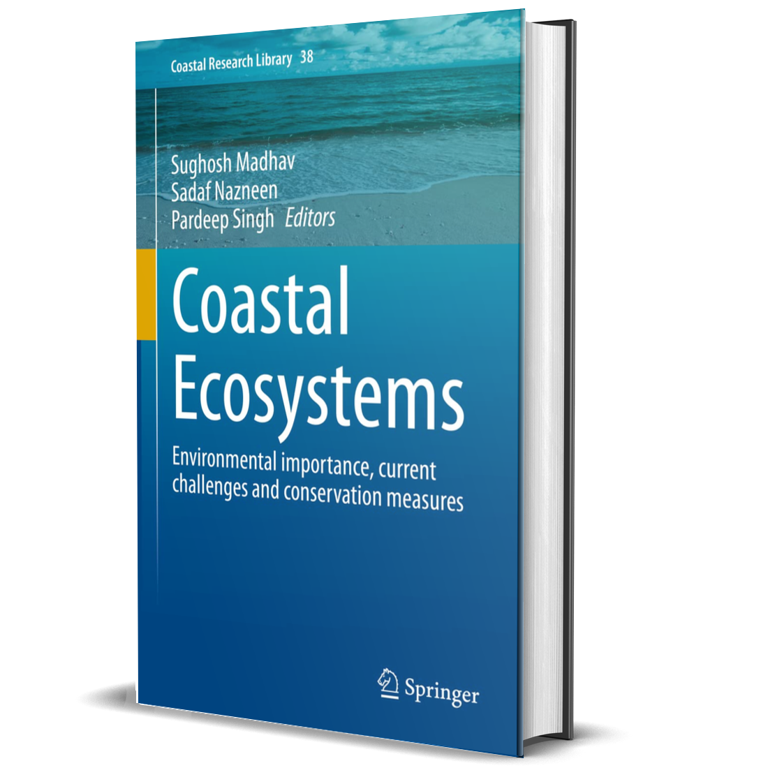 Coastal Ecosystems: Environmental importance, current challenges and conservation measures (Coastal Research Library Book 38)