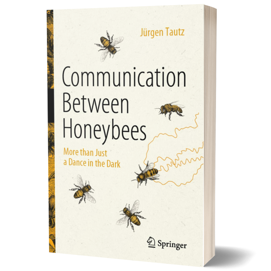 Communication Between Honeybees: More than Just a Dance in the Dark