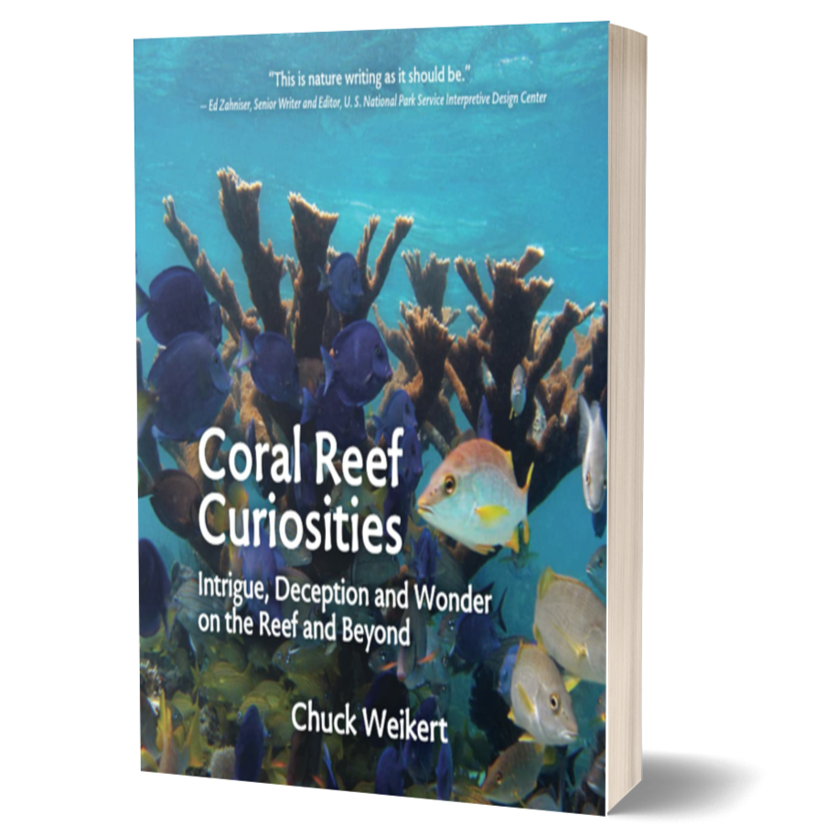 Coral Reef Curiosities: Intrigue, Deception and Wonder on The Reef and Beyond