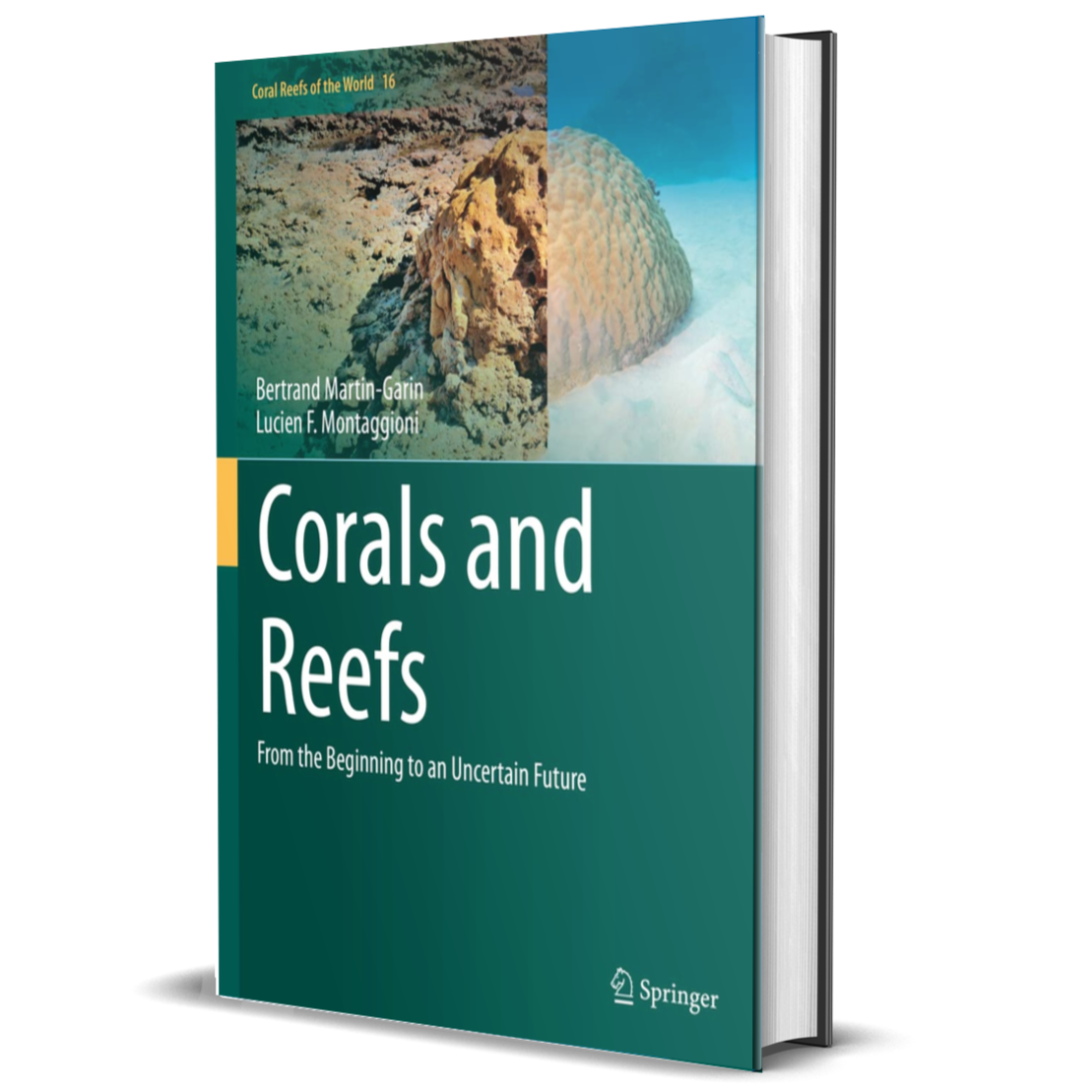 Corals and Reefs: From the Beginning to an Uncertain Future (Coral Reefs of the World, 16) 