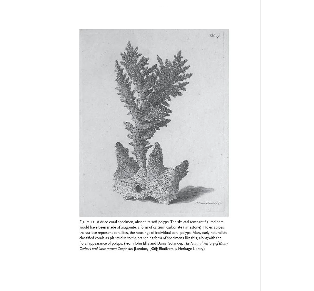 Curious Species How Animals Made Natural History ²⁵