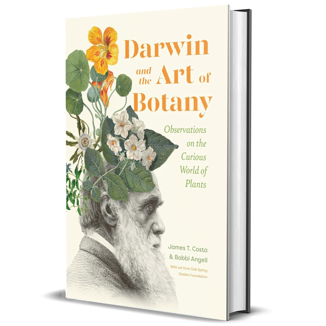 Darwin and the Art of Botany: Observations on the Curious World of Plants