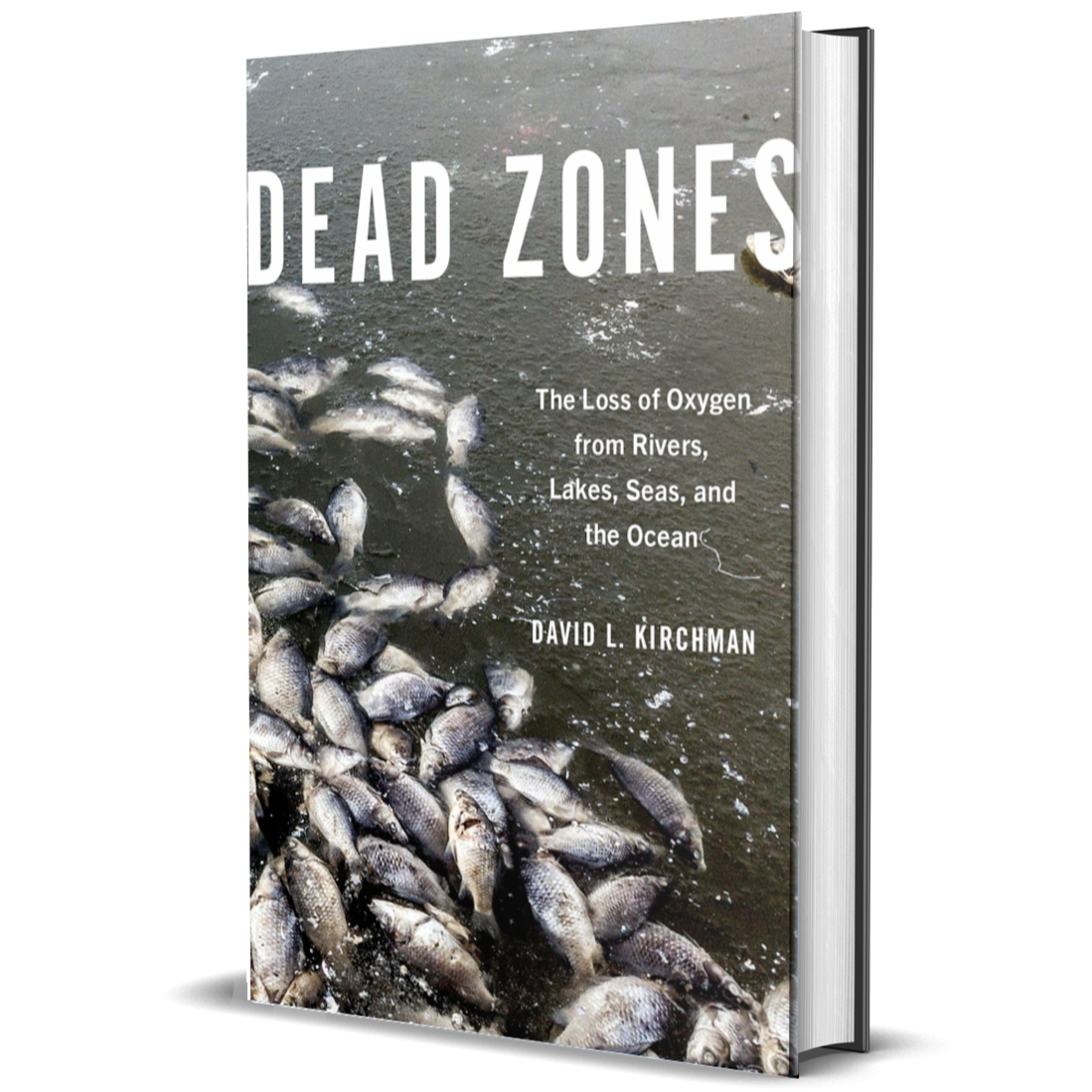 Dead Zones: The Loss of Oxygen from Rivers, Lakes, Seas, and the Ocean