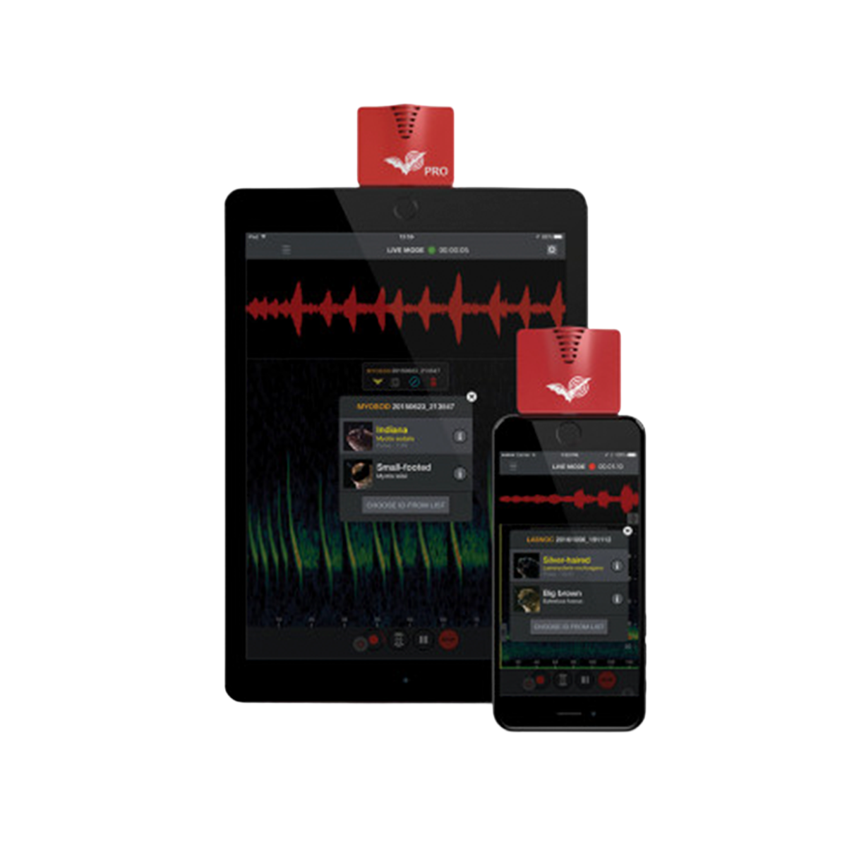 Detector de Morcegos Echo Meter Touch 2