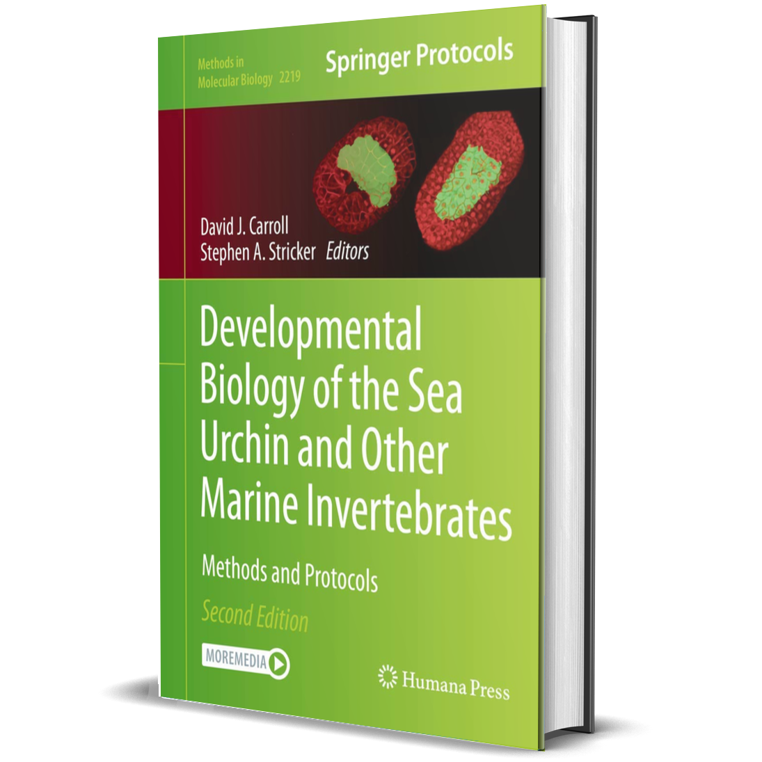 Developmental Biology of the Sea Urchin and Other Marine Invertebrates: Methods and Protocols (Methods in Molecular Biology, 2219)