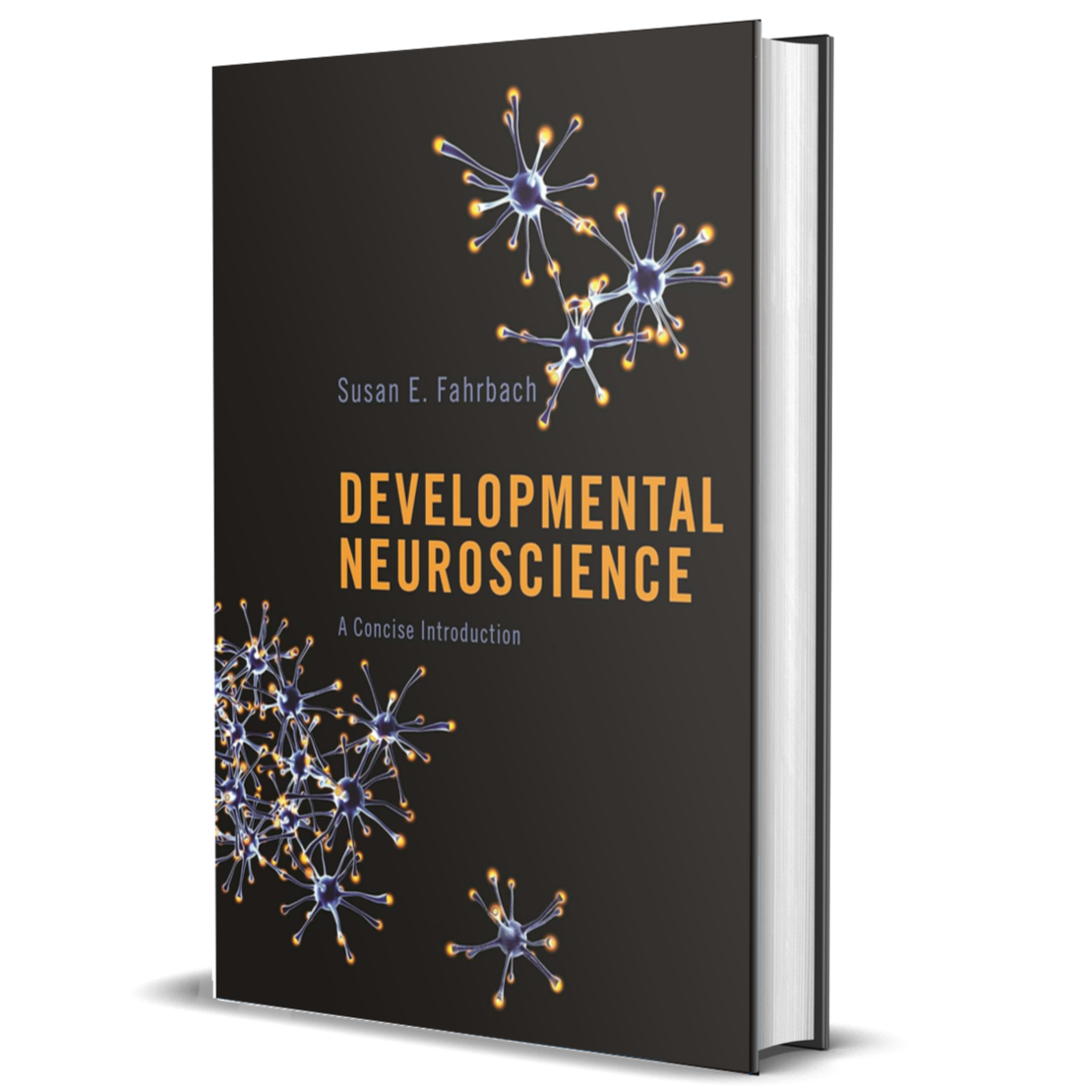 Developmental Neuroscience: A Concise Introduction ²⁵ - BIOWEB Brasil