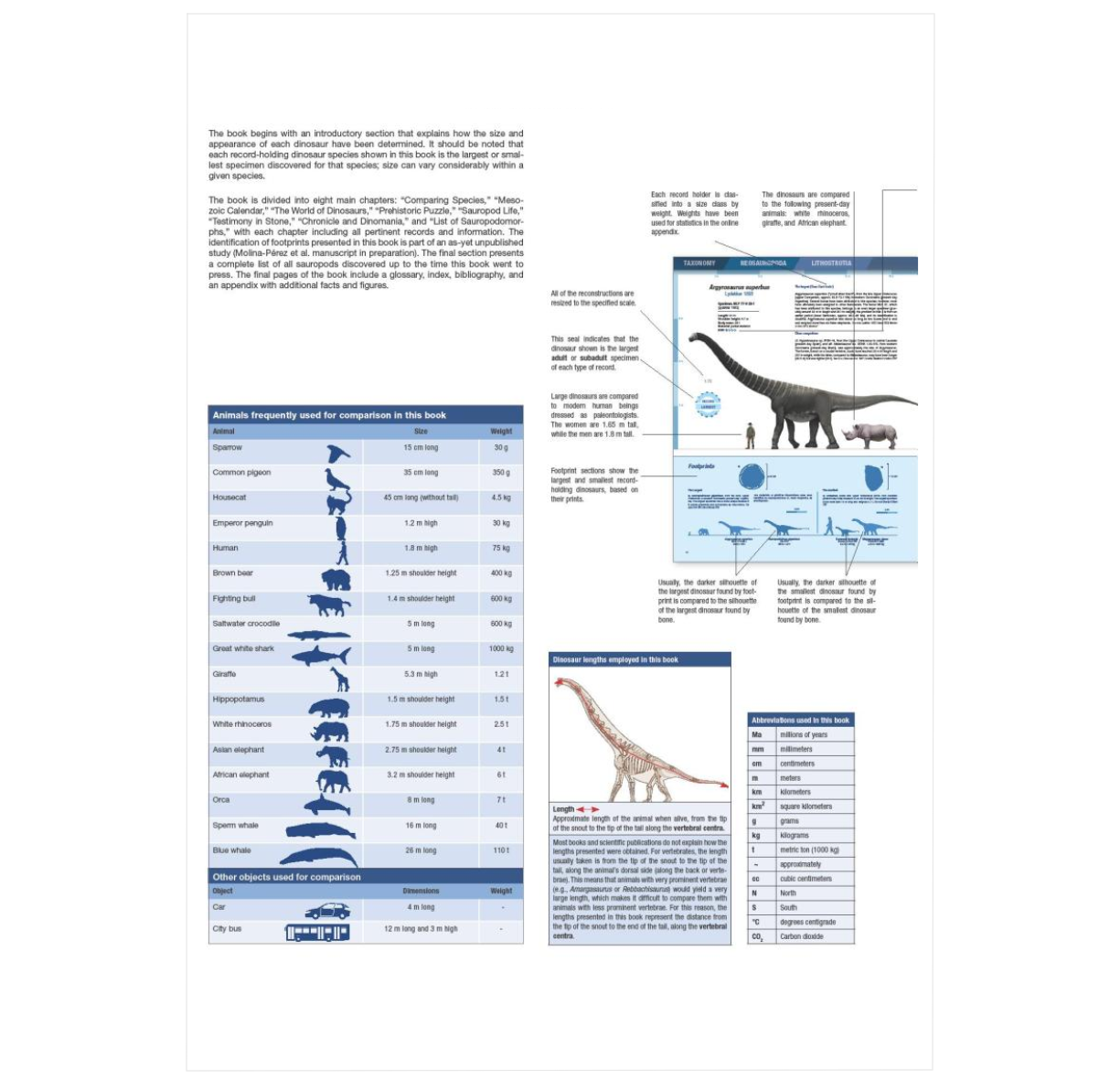 Dinosaur Facts and Figures: The Sauropods and Other Sauropodomorphs