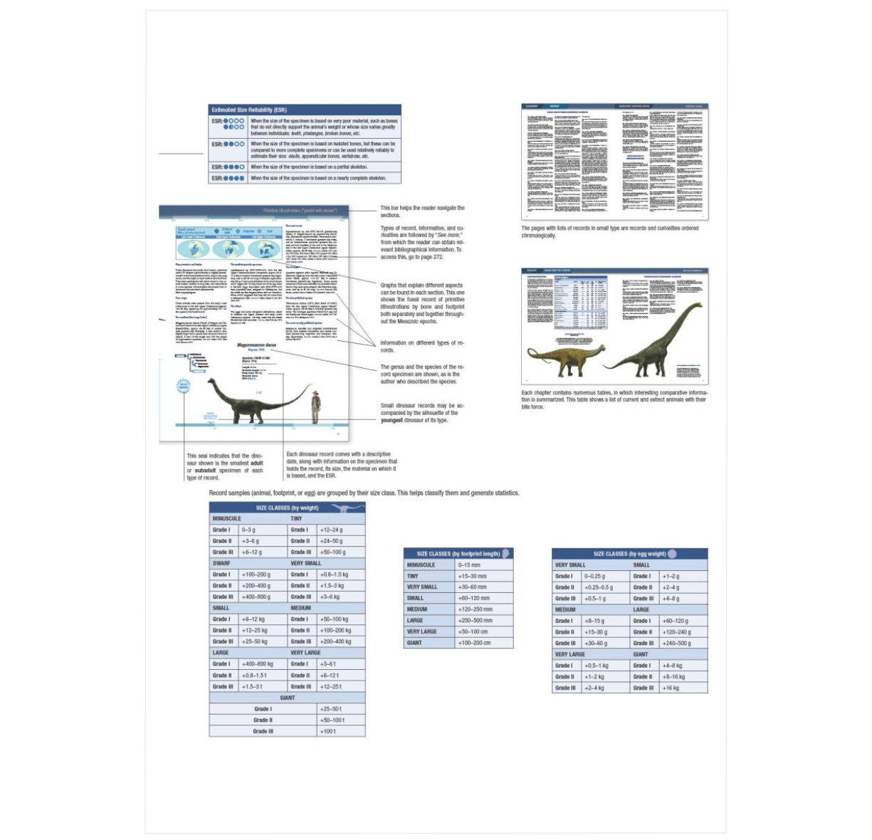 Dinosaur Facts and Figures: The Sauropods and Other Sauropodomorphs