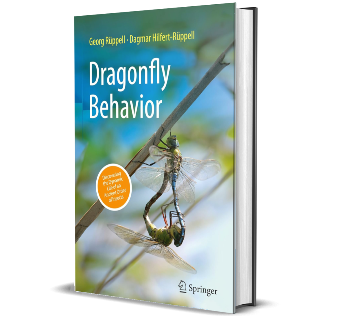 Dragonfly Behavior: Discovering the Dynamic Life of an Ancient Order of Insects