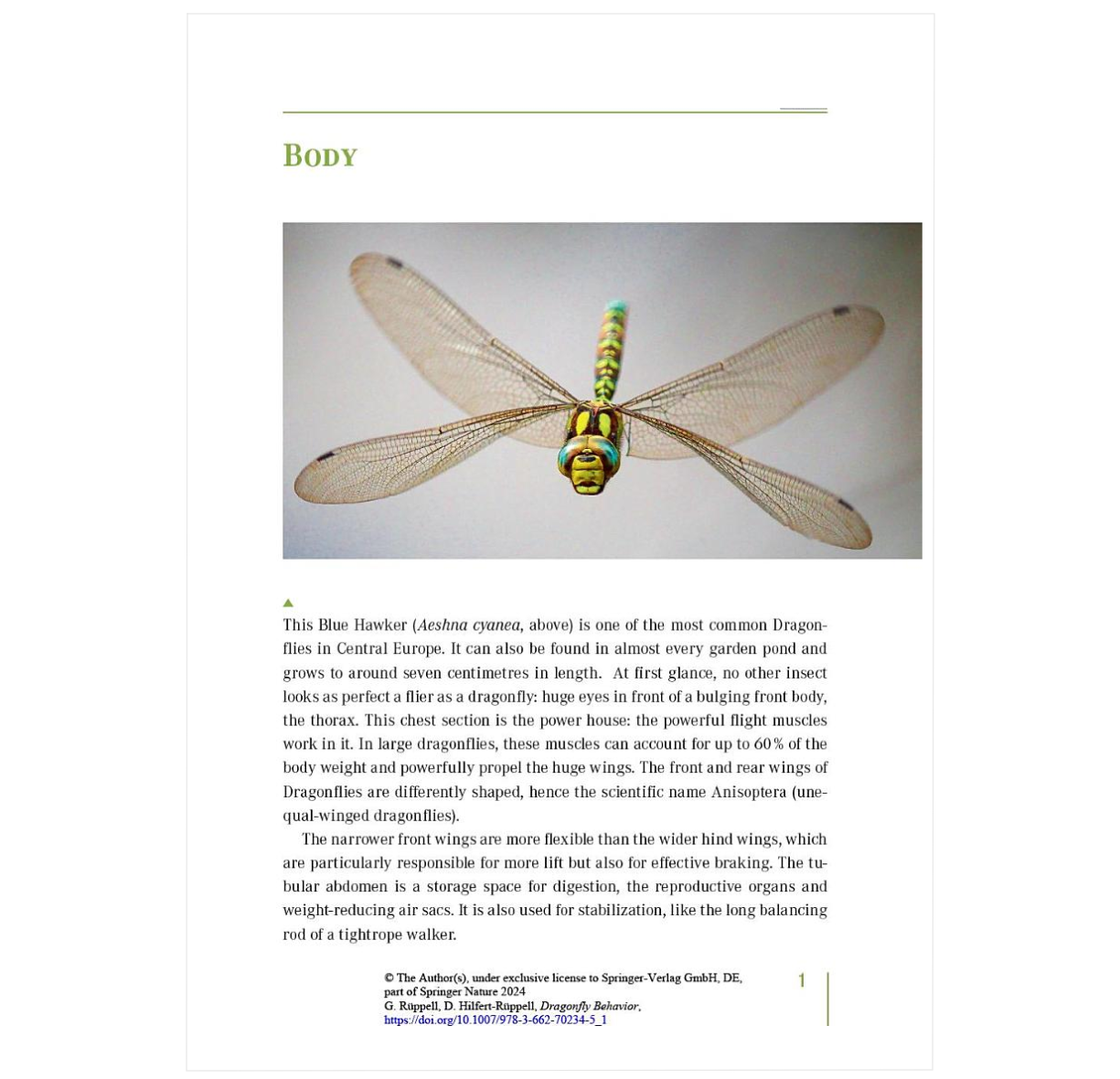 Dragonfly Behavior: Discovering the Dynamic Life of an Ancient Order of Insects