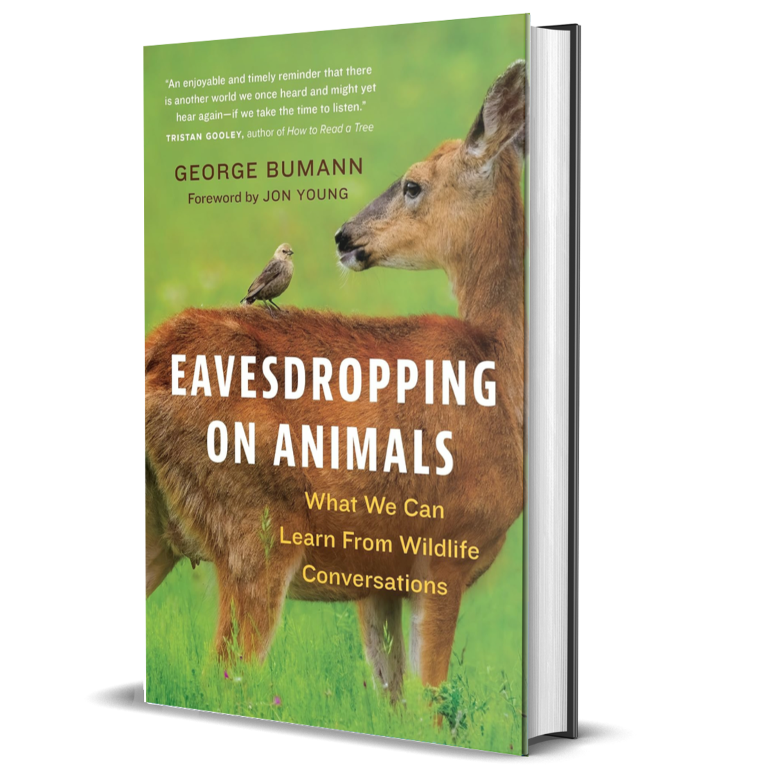 Eavesdropping on Animals: What We Can Learn from Wildlife Conversations