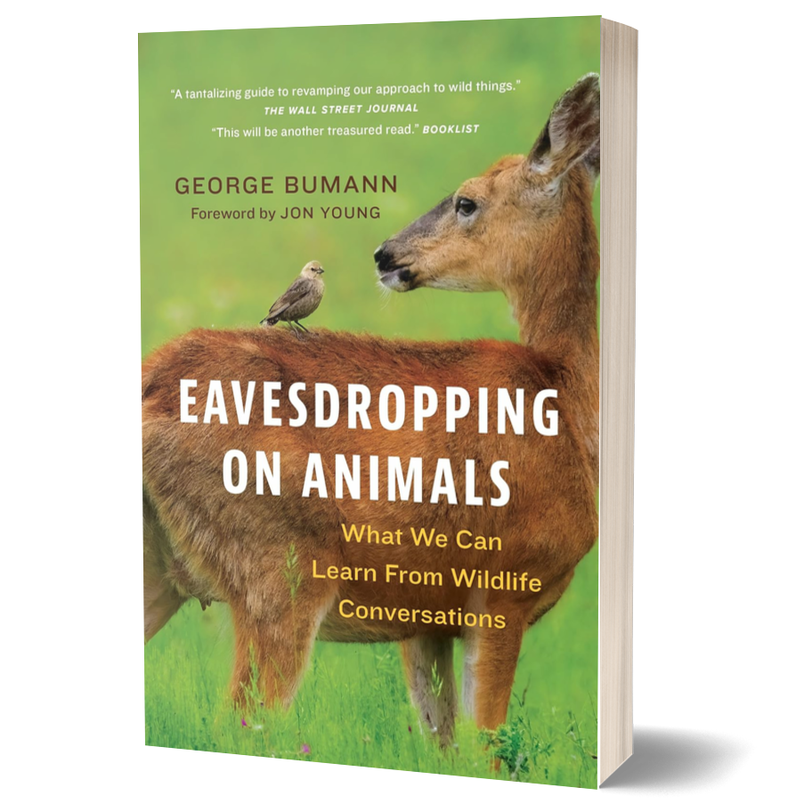 Eavesdropping on Animals: What We Can Learn from Wildlife Conversations