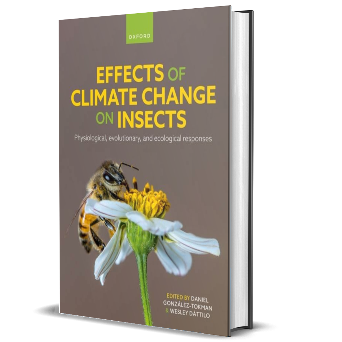 Climate Insects Effects of Climate Change on Insects: Physiological, Evolutionary, and ...