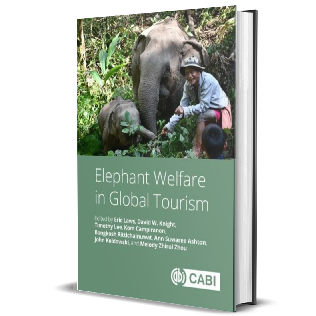 Elephant Welfare in Global Tourism