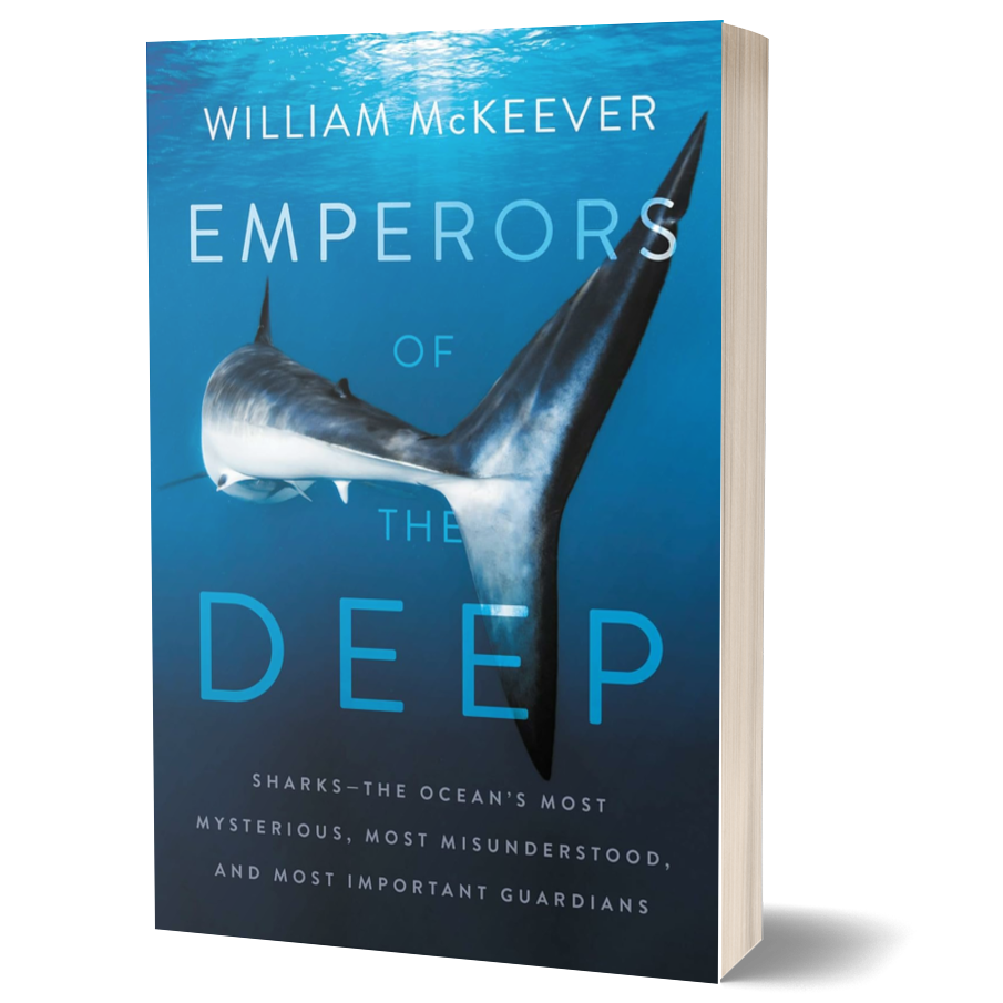 Emperors of the Deep: Sharks, The Ocean's Most Mysterious, Most Misunderstood, and Most Important Guardians