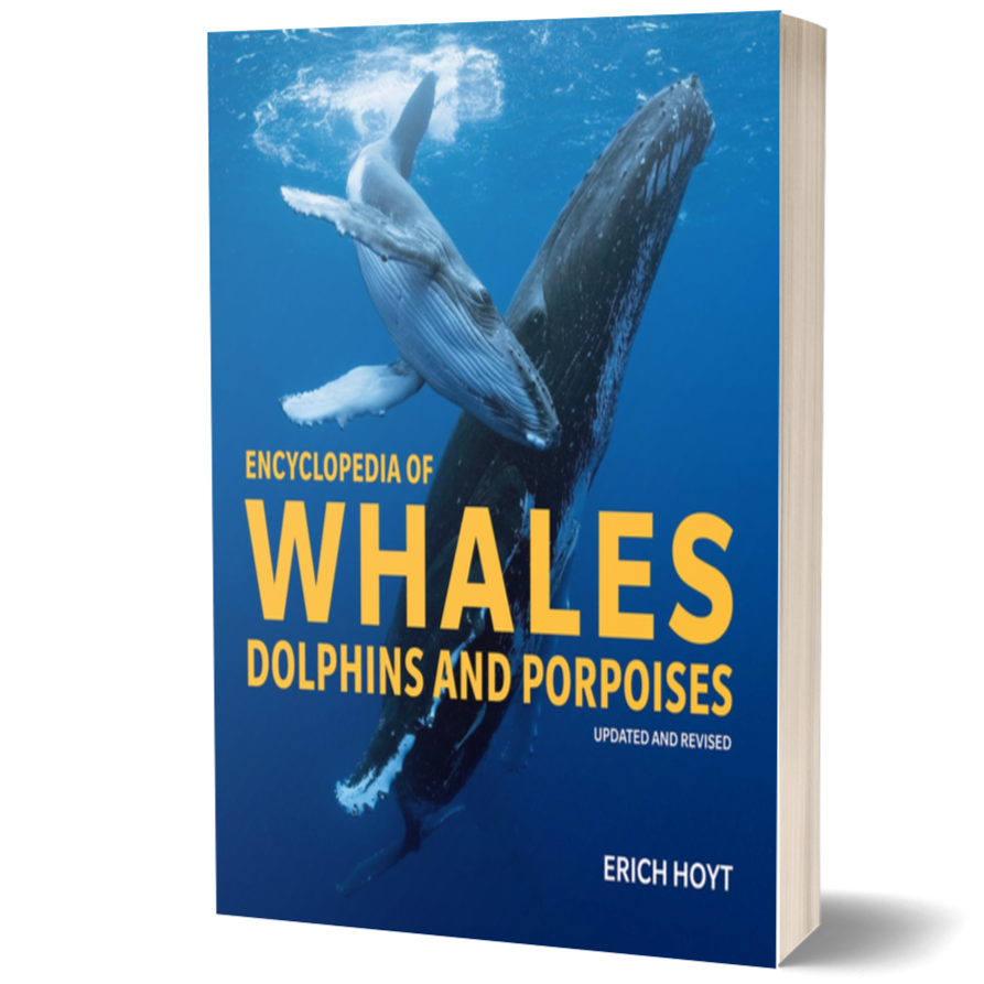 Encyclopedia of Whales, Dolphins and Porpoises