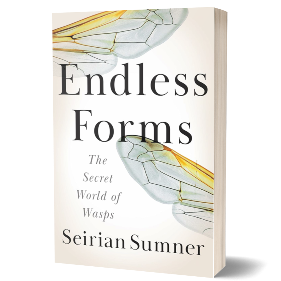 Endless Forms: The Secret World of Wasps