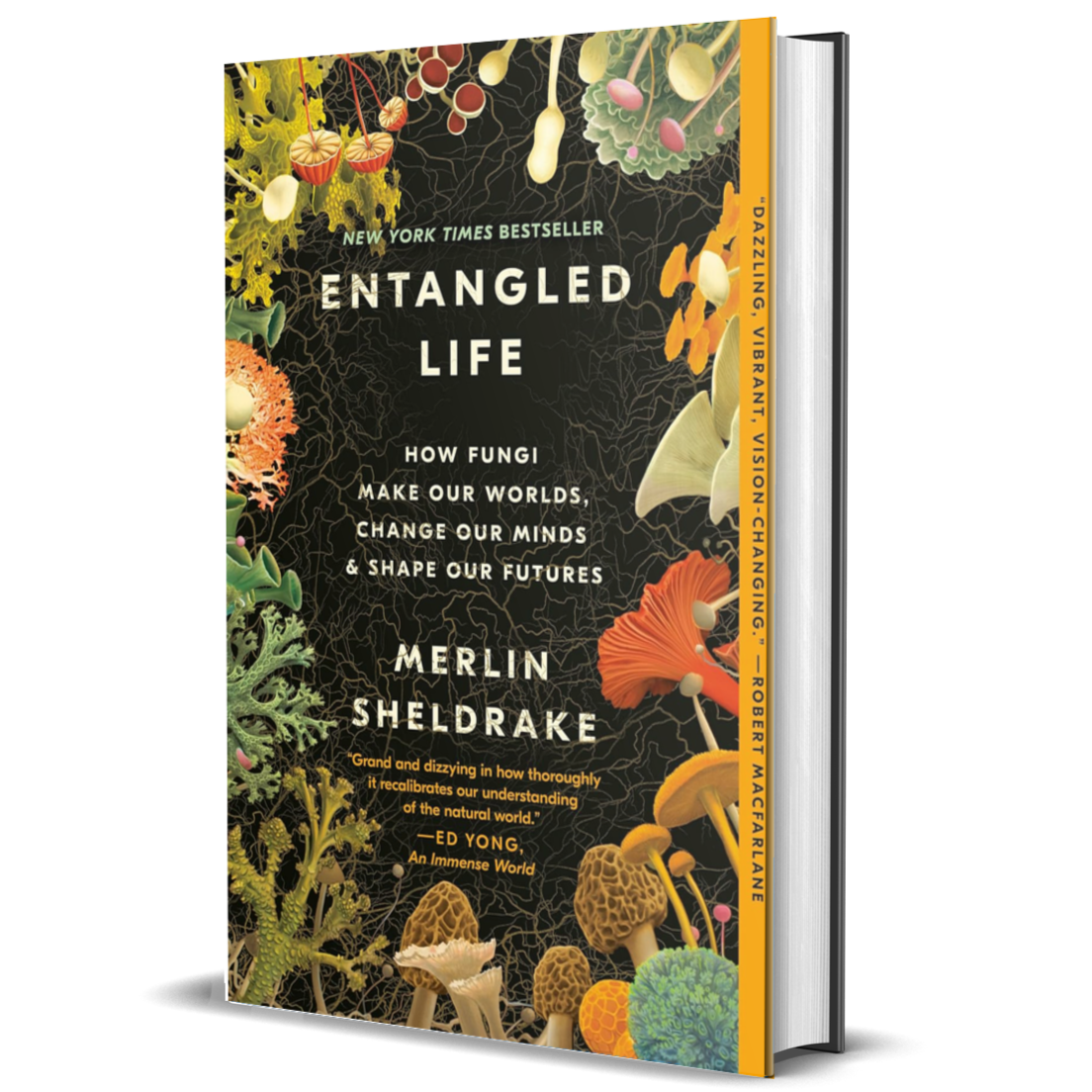 Entangled Life: How Fungi Make Our Worlds, Change Our Minds & Shape Our Futures