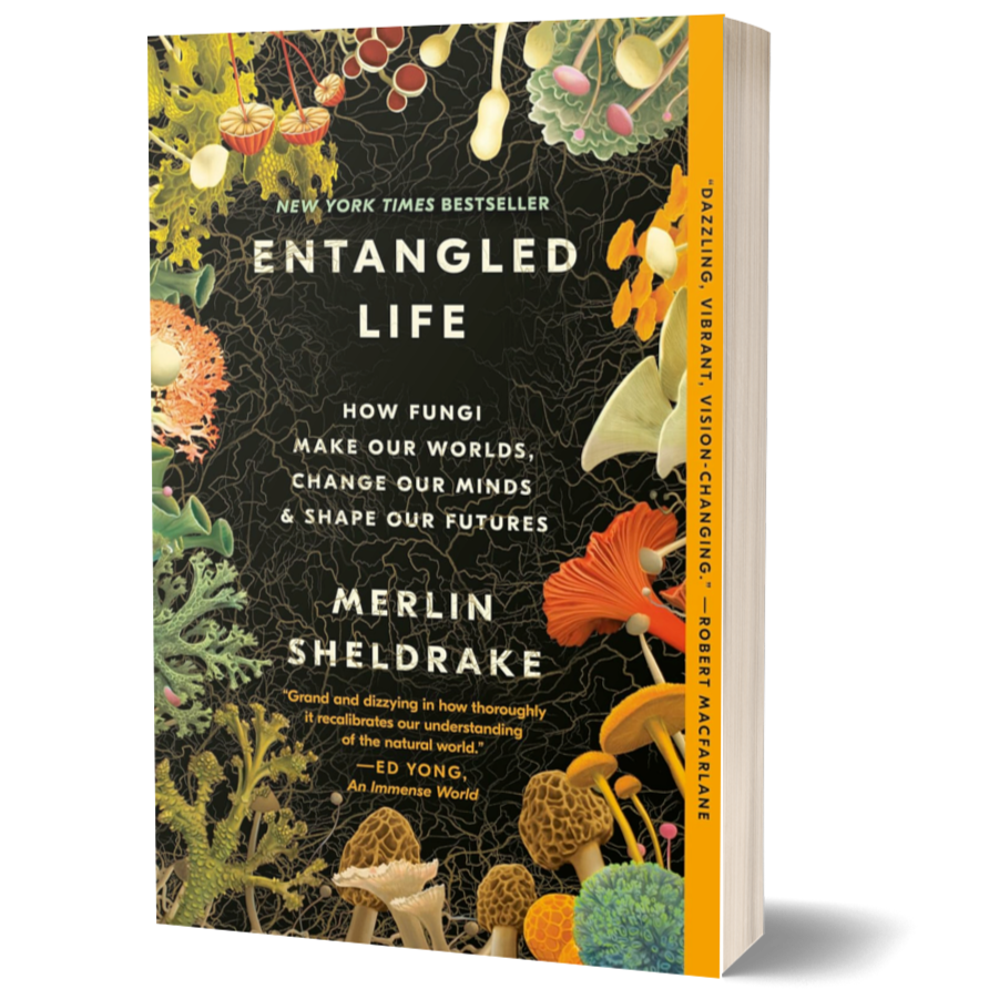 Entangled Life: How Fungi Make Our Worlds, Change Our Minds & Shape Our Futures
