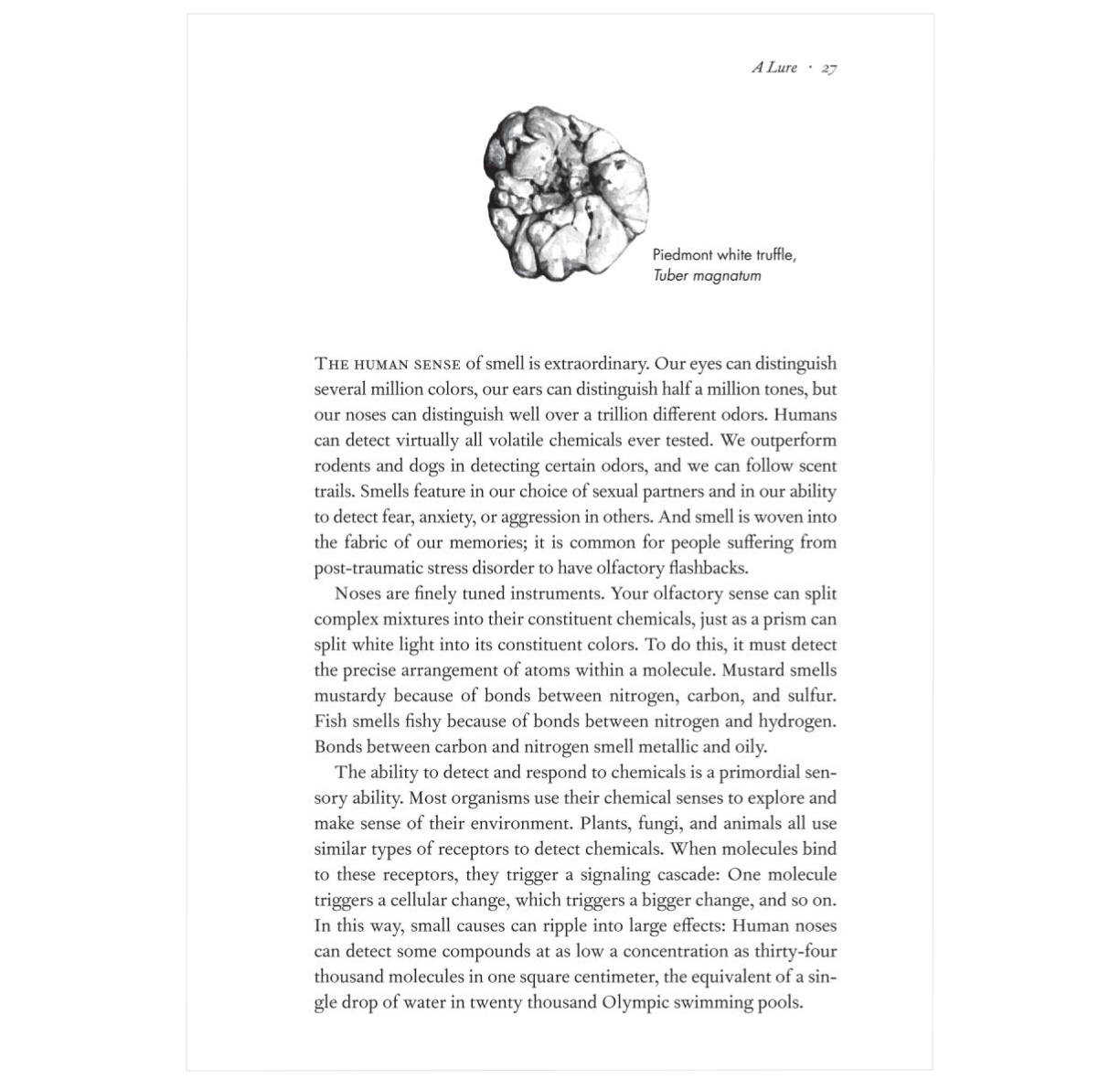 Entangled Life: How Fungi Make Our Worlds, Change Our Minds & Shape Our Futures